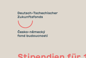 Flyer des DTZF mit Informationen zum Stipendium