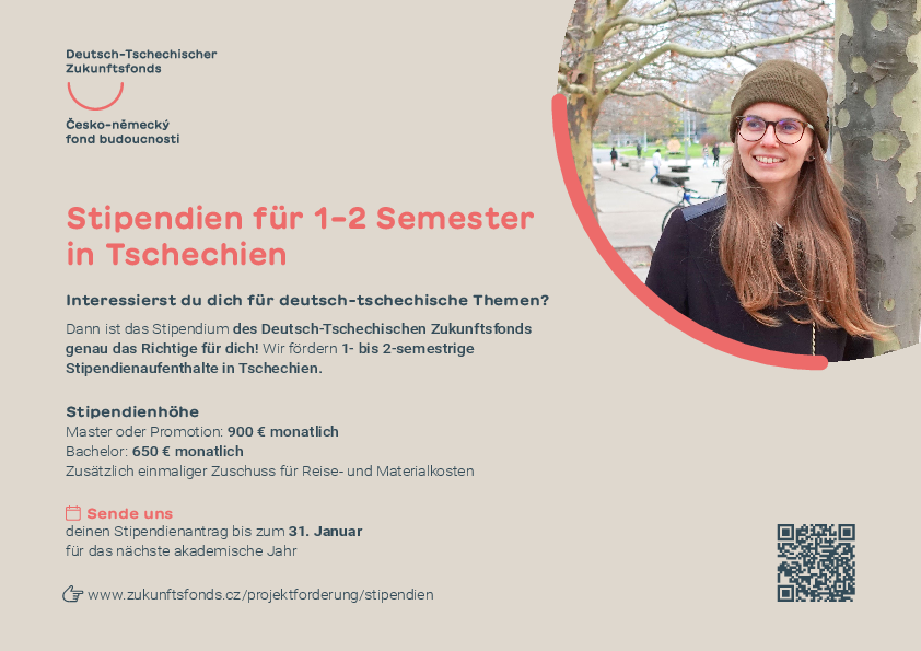 Flyer des DTZF mit Informationen zum Stipendium