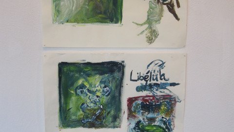 Bilder in Gr&uuml;nt&ouml;nen