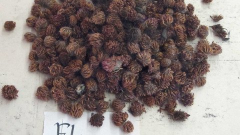 Sammeln, ordnen, auslegen