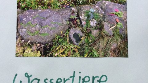 LandArt
