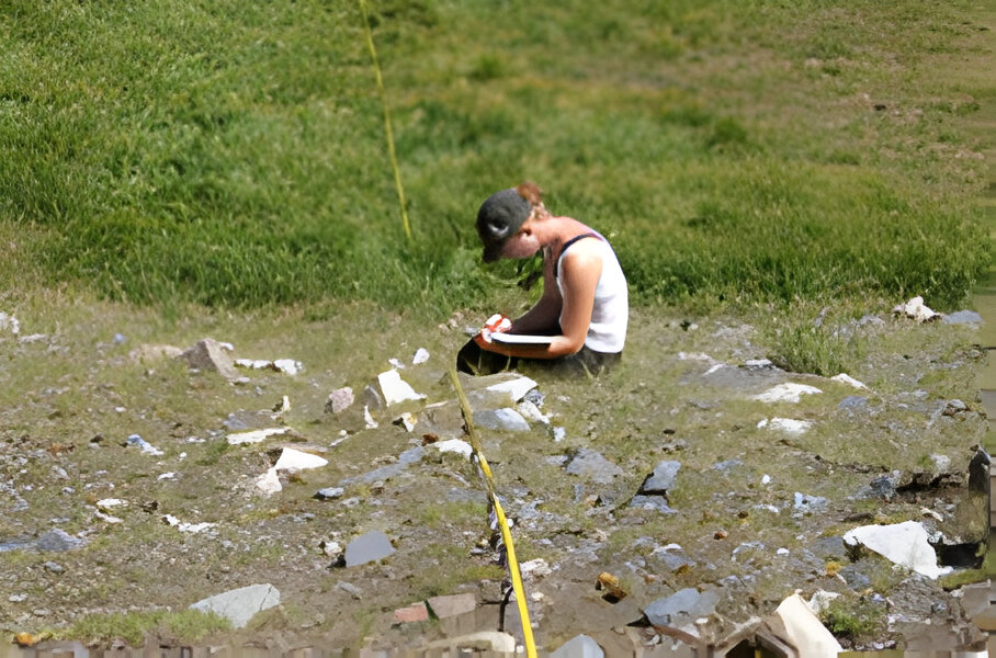 Der Beitrag von &Ouml;kotonen zur funktionalen, strukturellen und floristischen Vielfalt semiarider Hochgebirge - eine Fallstudie im Great Basin, USA
